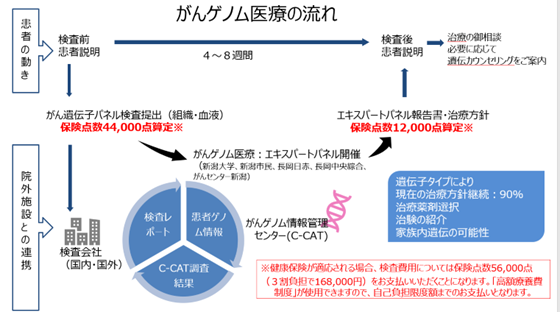 がんゲノム医療の流れ